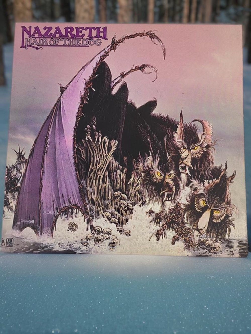 Nazareth 'Hair of the Dog' Vinyl Album Cover - Purple Artwork
